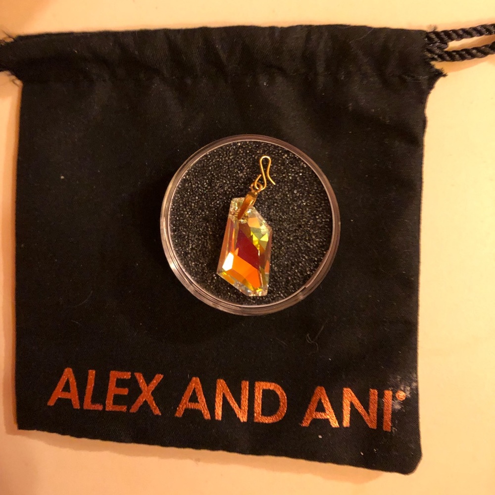 RETIRED Alex and Ani Charm